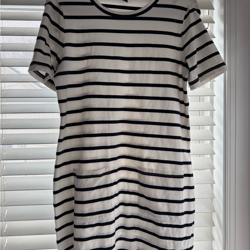 Banana Republic Navy and White Striped Mini Dress